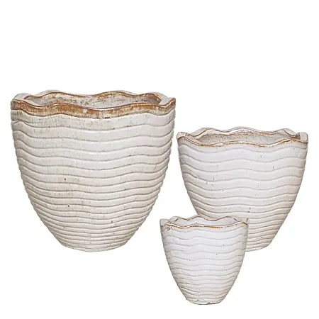 images/uploads/21772/thumb_21271 SET.webp